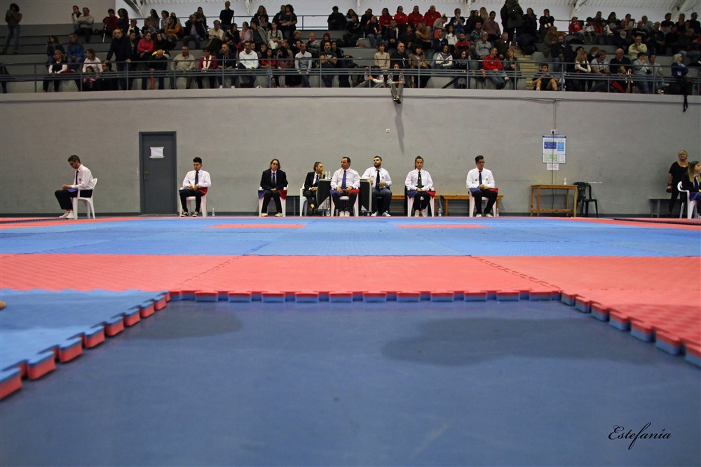 Copa Seul 2018 (459).jpg